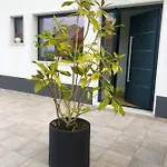 Casa Patio بيت للعطل Enxara do Bispo