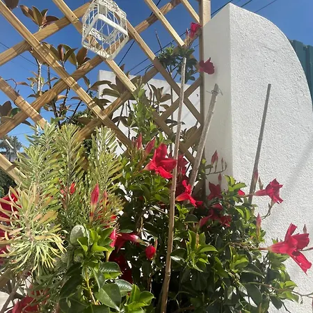 Casa Patio *