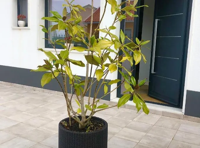 Casa Pátio Сasa de vacaciones Enxara do Bispo